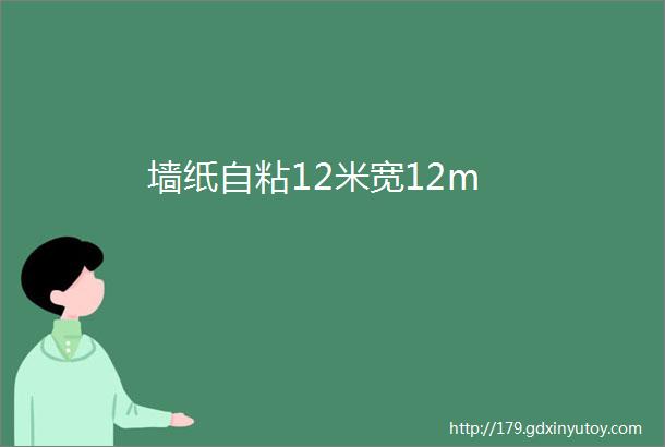 墙纸自粘12米宽12m